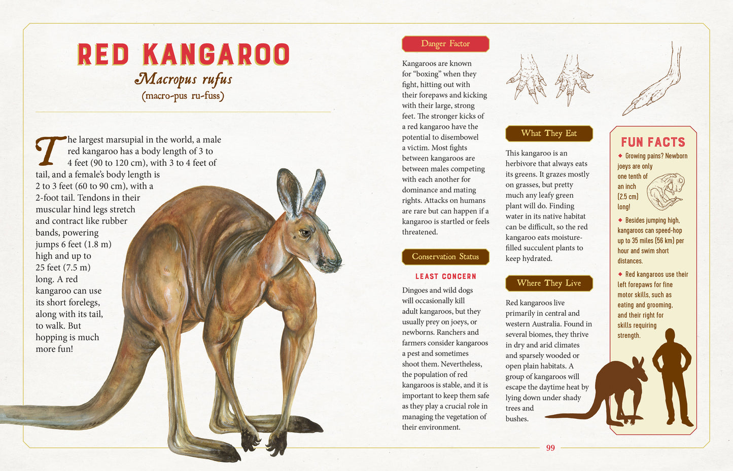 A Curious Collection of Dangerous Creatures: An Illustrated Encyclopedia