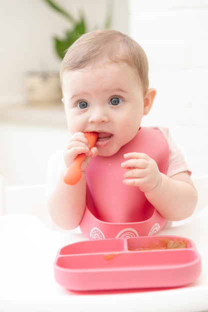 Chasing Rainbows Little Bites Bib