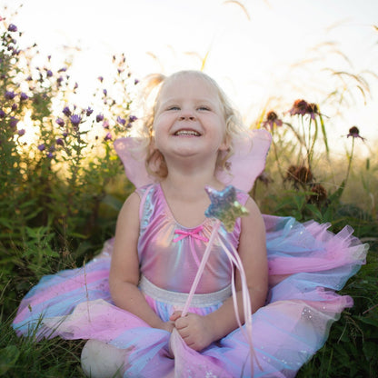 Rainbow Sequins Skirt, Wings  Wand