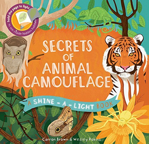 Shine-a-light, Secrets Of Animal Camou?age