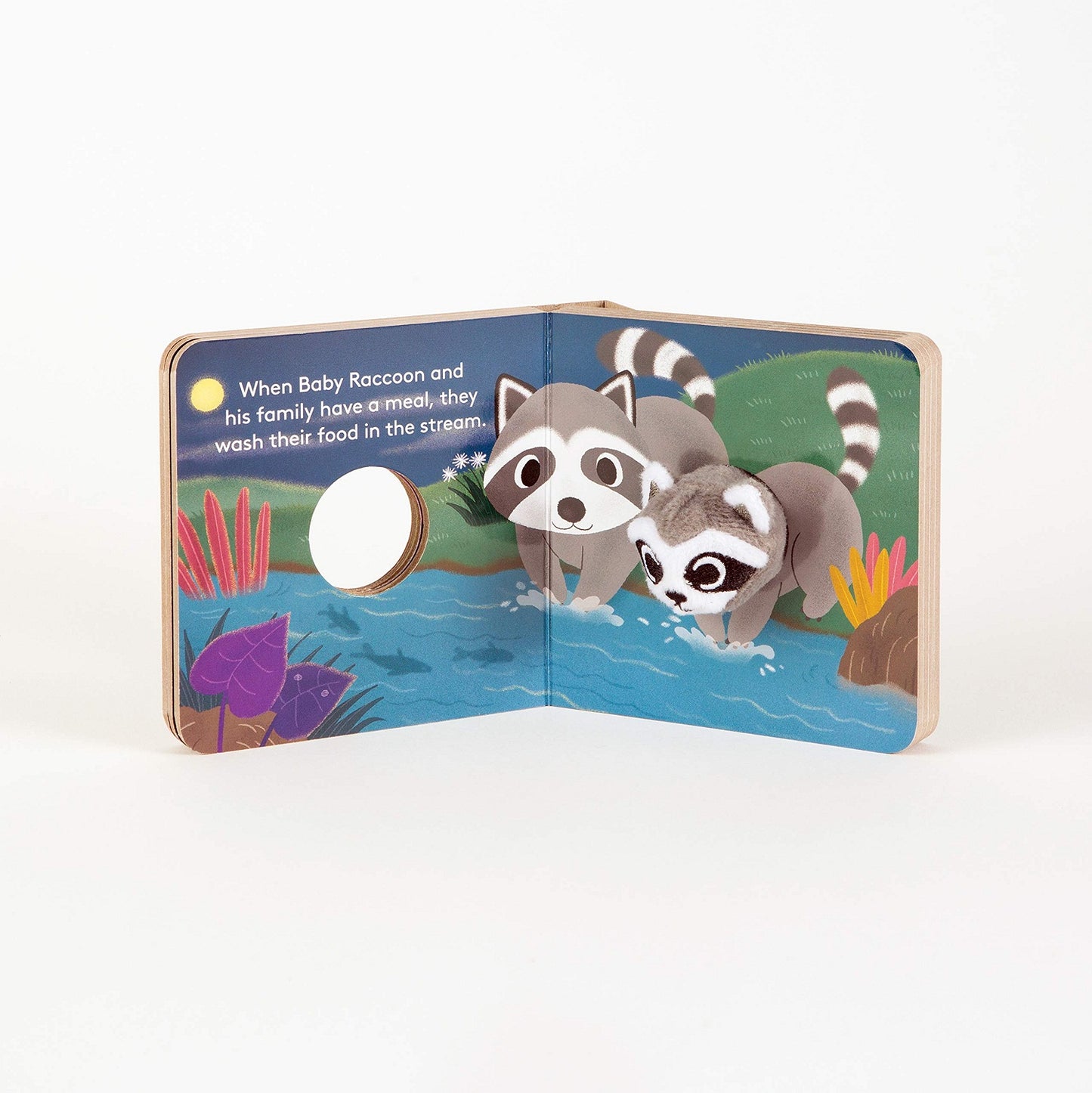 Baby Raccoon: Finger Puppet Book