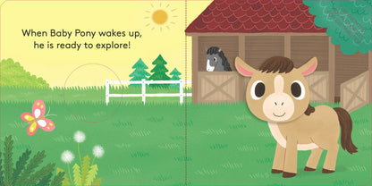 Baby Pony: Finger Puppet Book