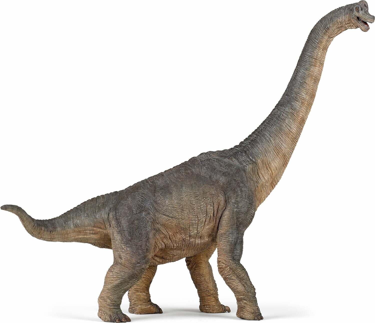 Papo France Brachiosaurus