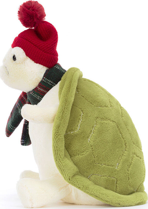 Snowman Timmy Turtle