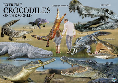 WES Extreme Crocodiles of the World