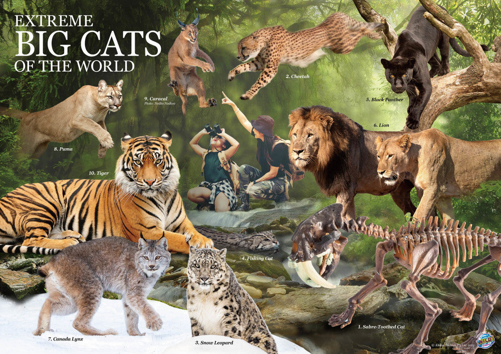 WES Extreme Big Cats of the World