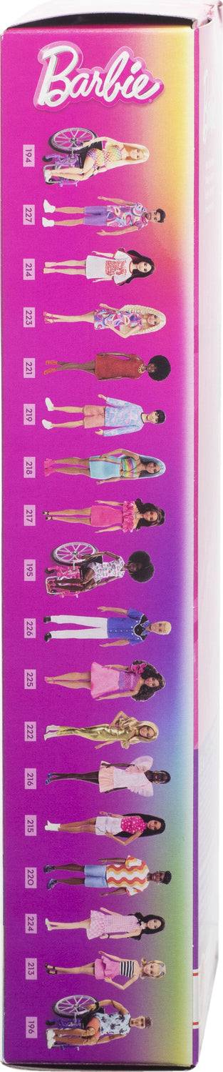 Barbie and Ken Fashionistas Dolls and Accessories