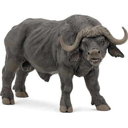 African Buffalo