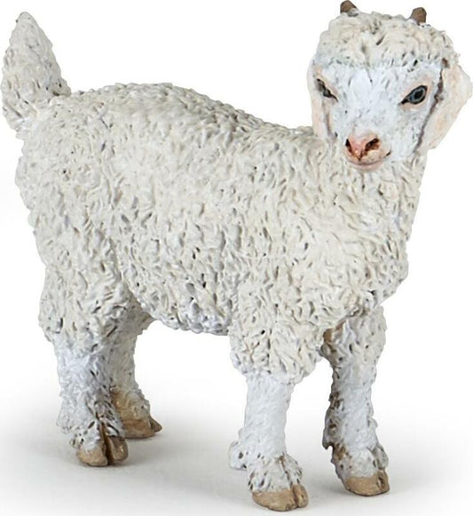 Young Angora Goat