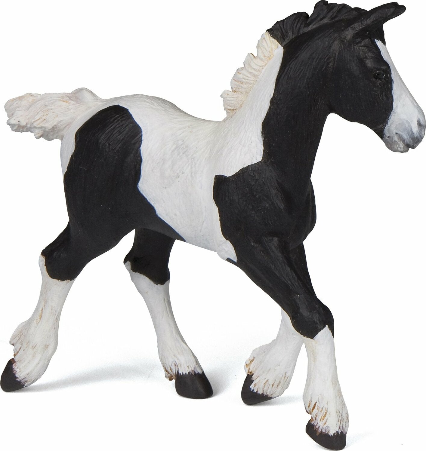 Black Piebald Cob Foal