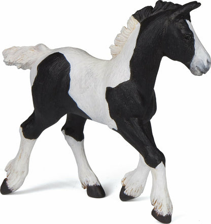 Black Piebald Cob Foal