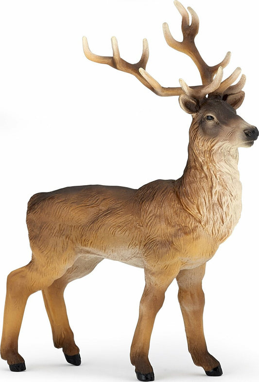 Stag