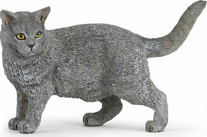 Chartreux