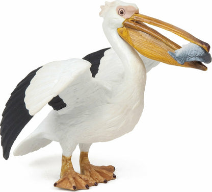 Pelican