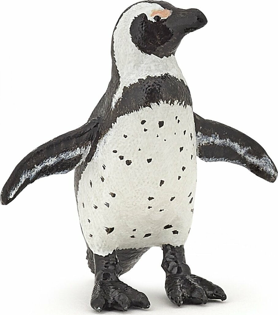 African Penguin