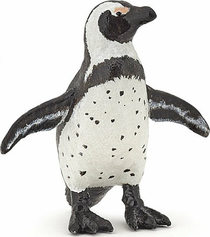 African Penguin