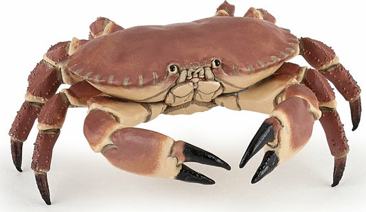 Crab