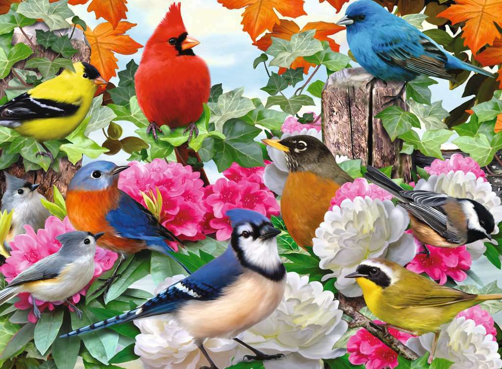 Garden Birds (500 Piece Puzzle)