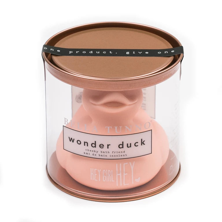 Wonder Duck- Hey Girl Hey