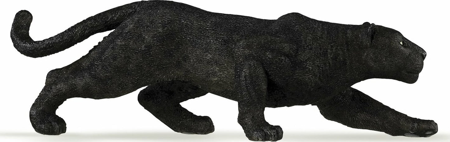 Black Leopard