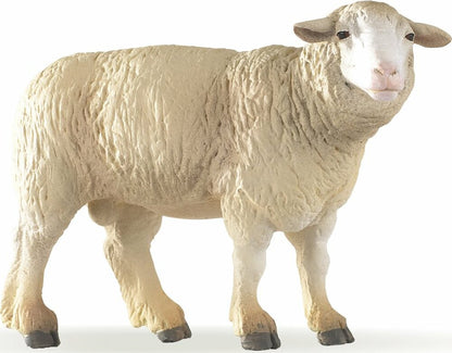 Merinos Sheep