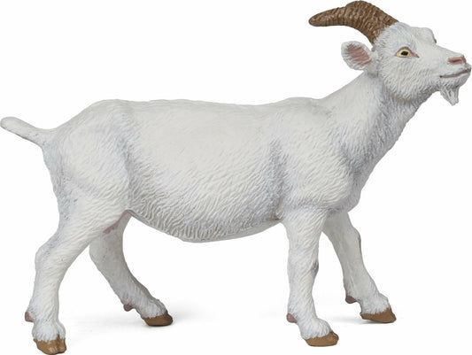 White Nanny Goat