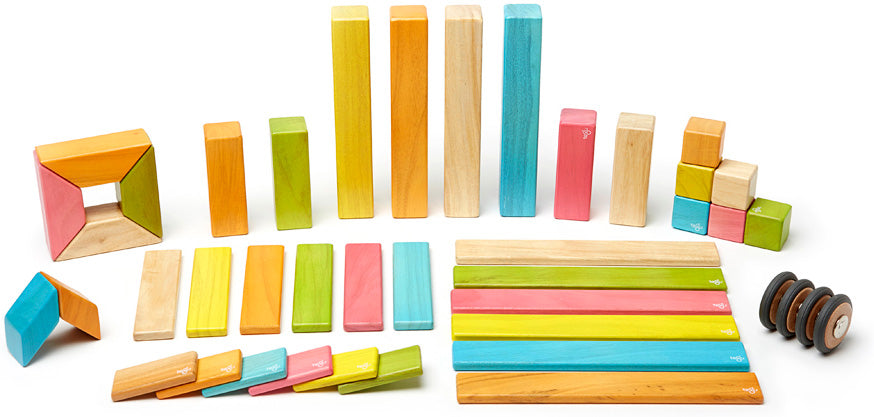 Tegu order magnetic blocks